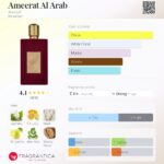 Ameerat Al Arab Asdaaf for women 100ml in Sri Lanka at DotlinkLanka.lk - Image 3