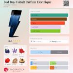 Bad Boy Cobalt Parfum Electrique Carolina Herrera for men 100ml in Sri Lanka at DotlinkLanka.lk - Image 3