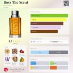 Boss The Scent Hugo Boss for men EDT100ml in Sri Lanka at DotlinkLanka.lk - Image 3