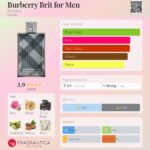 Burberry Brit for Men Burberry for men 100ml in Sri Lanka at DotlinkLanka.lk - Image 3