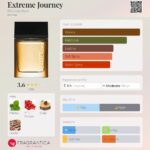 Extreme Journey Michael Kors for men 100ml in Sri Lanka at DotlinkLanka.lk - Image 3