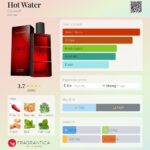 Hot Water Davidoff for men 110ml in Sri Lanka at DotlinkLanka.lk - Image 3