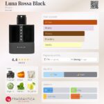 Luna Rossa Black Prada for men 100ml in Sri Lanka at DotlinkLanka.lk - Image 3