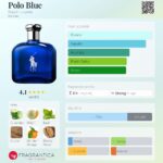 Polo Blue Ralph Lauren for men EDT125ml in Sri Lanka at DotlinkLanka.lk - Image 3