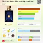 Versace Pour Homme Dylan Blue Versace for men EDT 100ml in Sri Lanka at DotlinkLanka.lk - Image 3