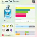 Versace Pour Homme Versace for men EDT 100ml in Sri Lanka at DotlinkLanka.lk - Image 3
