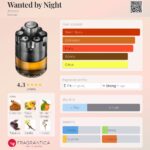 Wanted by Night Azzaro for men 100ml in Sri Lanka at DotlinkLanka.lk - Image 3
