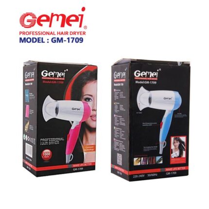 GM-1709 Professional Hair Dryer