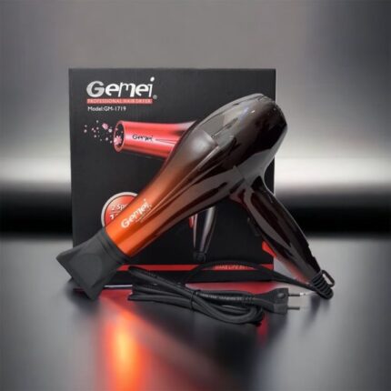Gemei GM-1719 Professional Hair Dryer