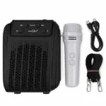 KTS-2168 8-inch portable speaker